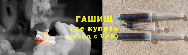 индика Ладушкин