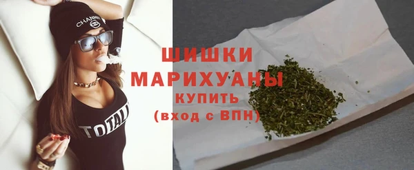 дживик Струнино