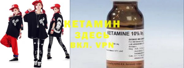 прущие грибы Тайга