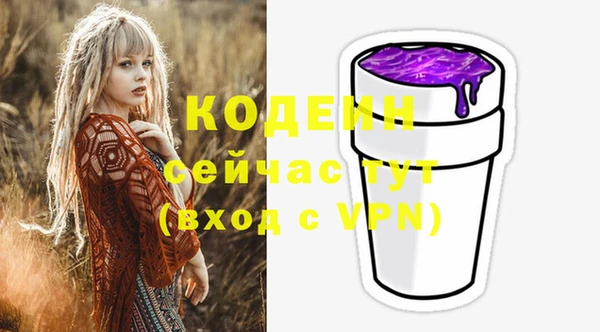 МДПВ Тавда