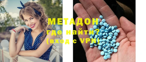 прущие грибы Тайга